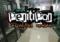Keunggulan Penitipan Kucing 24 Jam dengan Pemantauan Video Live