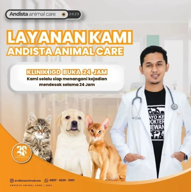 Keuntungan Layanan Dokter Hewan Panggilan 24 Jam