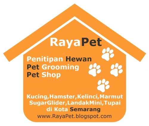 Komponen Layanan Grooming dalam Penitipan