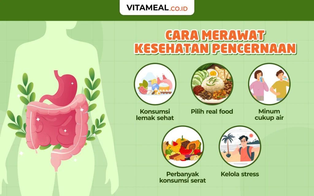 Komposisi utama yang mendukung kesehatan pencernaan