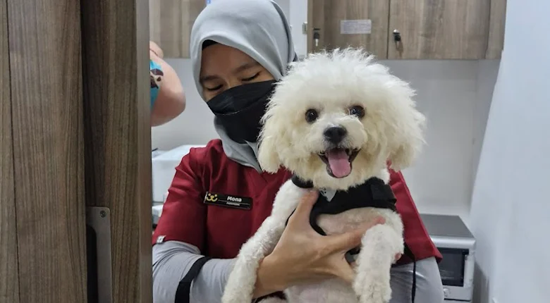 Layanan Darurat Dokter Hewan Terdekat di Jakarta