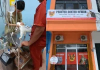 layanan darurat klinik hewan 24 jam di Jakarta: Apa yang Harus Diketahui