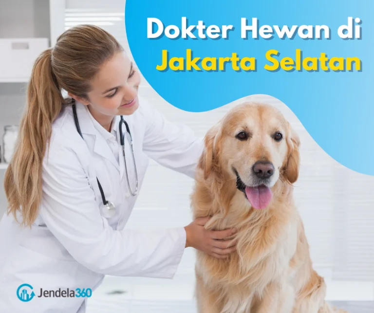 Manfaat Memiliki Dokter Hewan Terdekat untuk Anjing