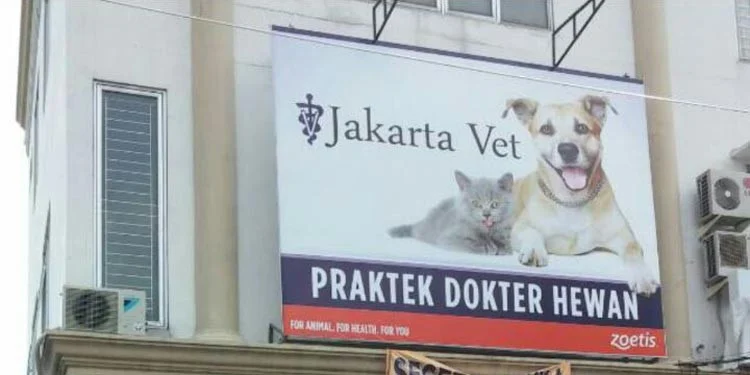 nomor telepon dokter hewan 24 jam Jakarta – Daftar Lengkap dan Cara Menghubungi
