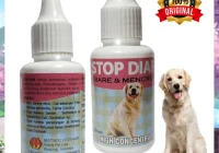 Obat Diare Anjing Alami: Pilihan Terbaik untuk Mengatasi Masalah Pencernaan