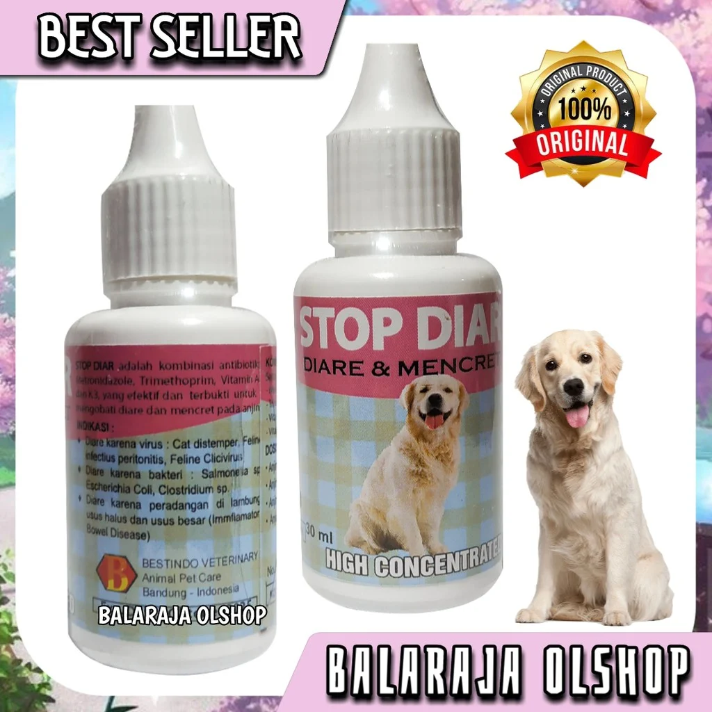 Obat Diare Anjing Alami: Pilihan Terbaik untuk Mengatasi Masalah Pencernaan