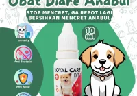 Obat Diare Anjing yang Direkomendasikan Dokter: Kategori Utama