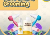 paket grooming kucing lengkap murah: definisi dan komponen utama