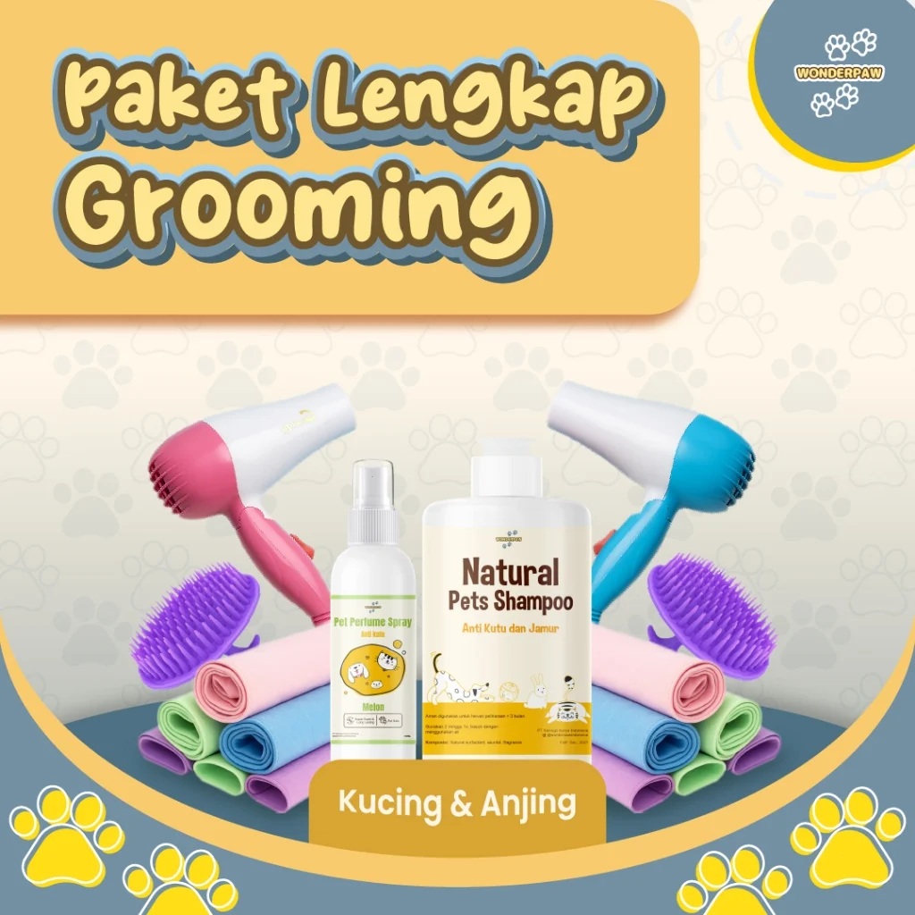 paket grooming kucing lengkap murah: definisi dan komponen utama