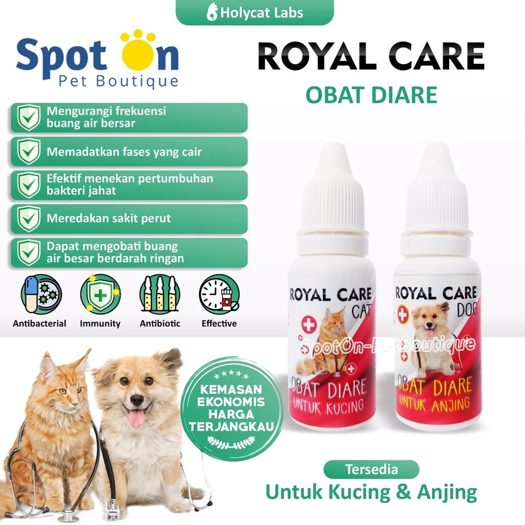 Pencegahan Diare pada Anjing Besar