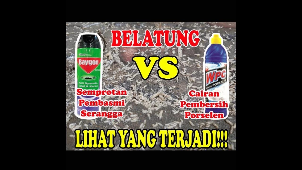 perbandingan efek pengusir serangga listrik vs. semprotan kimia**: Mekanisme Dasar