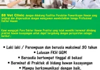 Perbedaan Dokter Hewan Panggilan dan Klinik Hewan: Definisi dan Lingkup Layanan