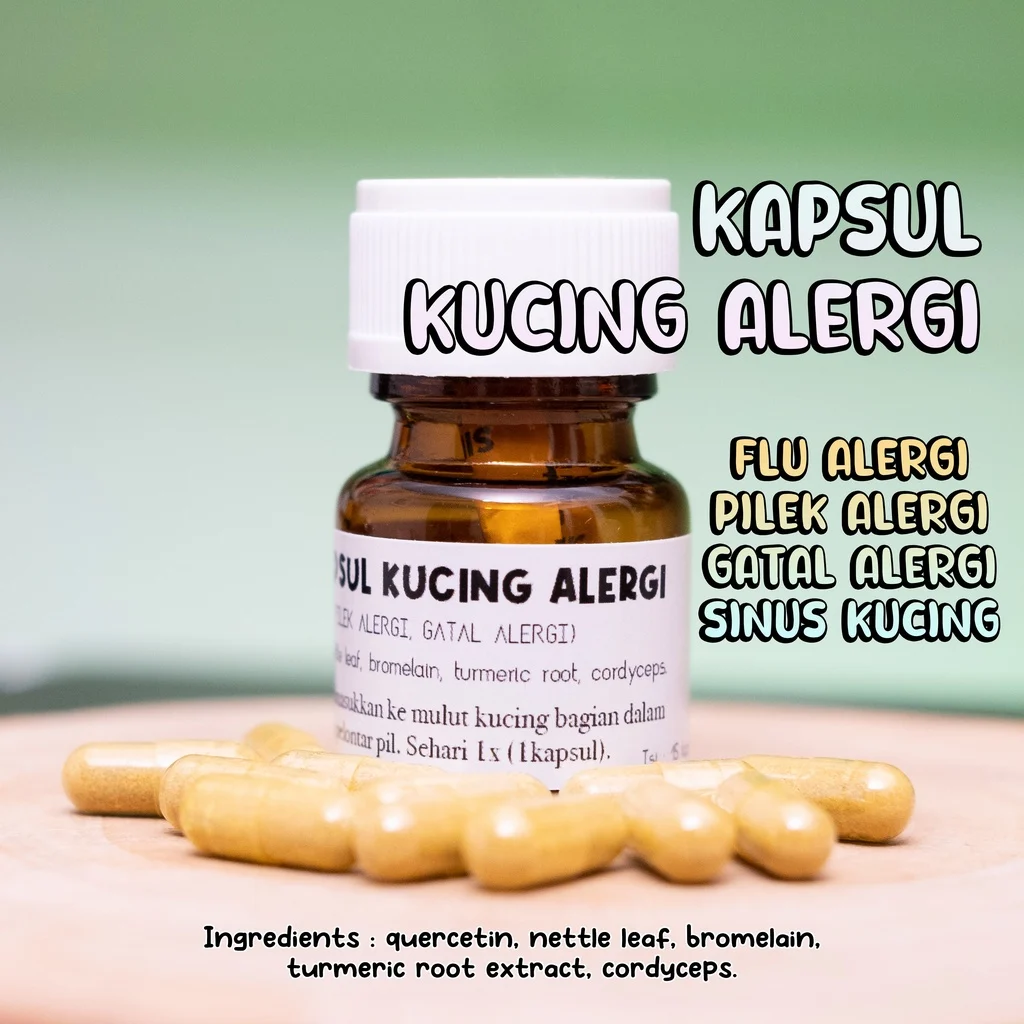Pertimbangan khusus untuk kucing dengan alergi