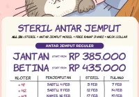 promo dan diskon steril kucing di bulan tertentu