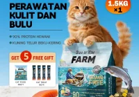 rekomendasi makanan kucing premium terbaik tanpa biji-bijian