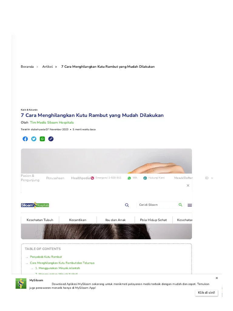 Strategi Jangka Panjang untuk Menjaga Kebebasan dari Kutu Rambut