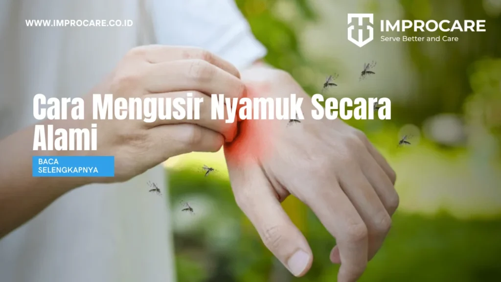 strategi tambahan dalam cara alami mengusir nyamuk tanpa bahan kimia untuk area publik