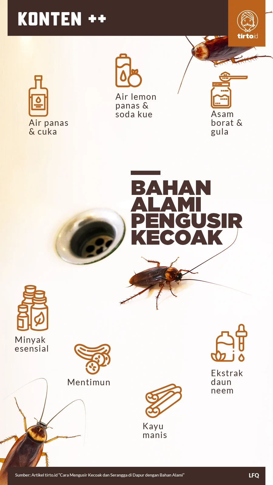 tips efektif mengusir serangga di dapur rumah: Pendekatan Kebersihan Dasar