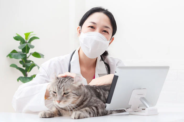 tips memilih dokter hewan terdekat: cara praktis menemukan pilihan terbaik
