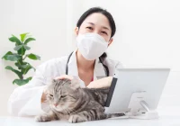 tips memilih dokter hewan terdekat: faktor utama yang harus dipertimbangkan