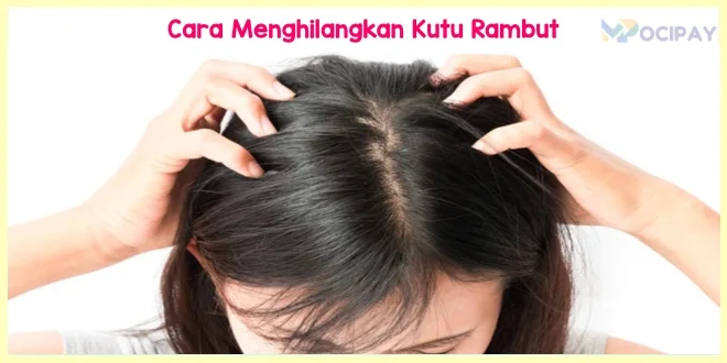 Tips Menghindari Gigitan Kutu Rambut dengan Pengusir Alami yang Terbukti Efektif
