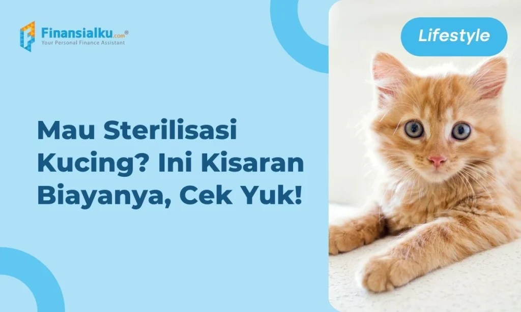 Tips Mengurangi Biaya Steril Kucing Secara Mandiri