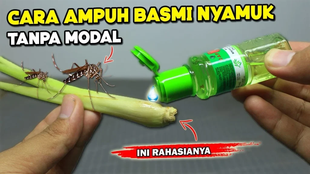 tips praktis dalam cara alami mengusir nyamuk tanpa bahan kimia saat beraktivitas luar ruangan