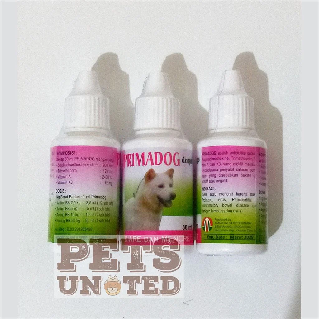 Tips Tambahan untuk Mencegah Diare pada Anjing